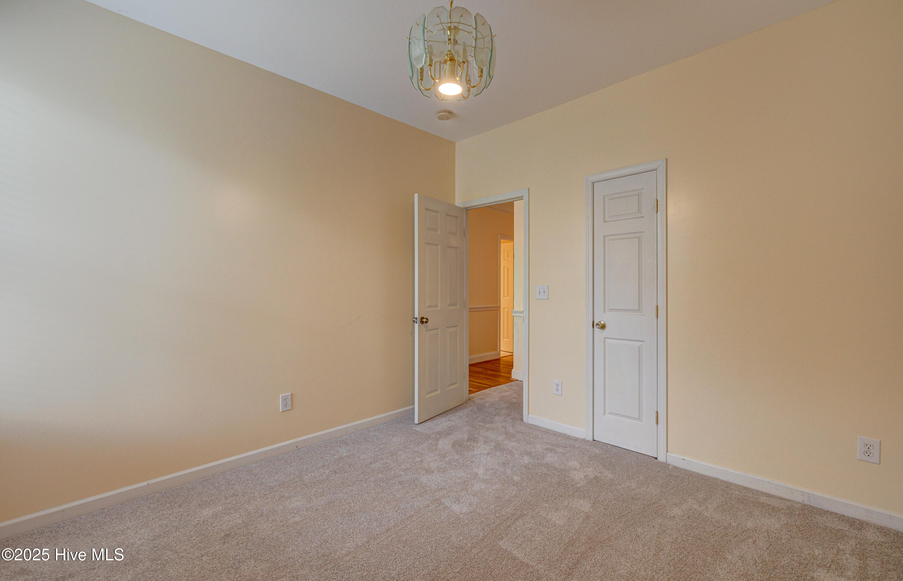 100567559 | Photo 27