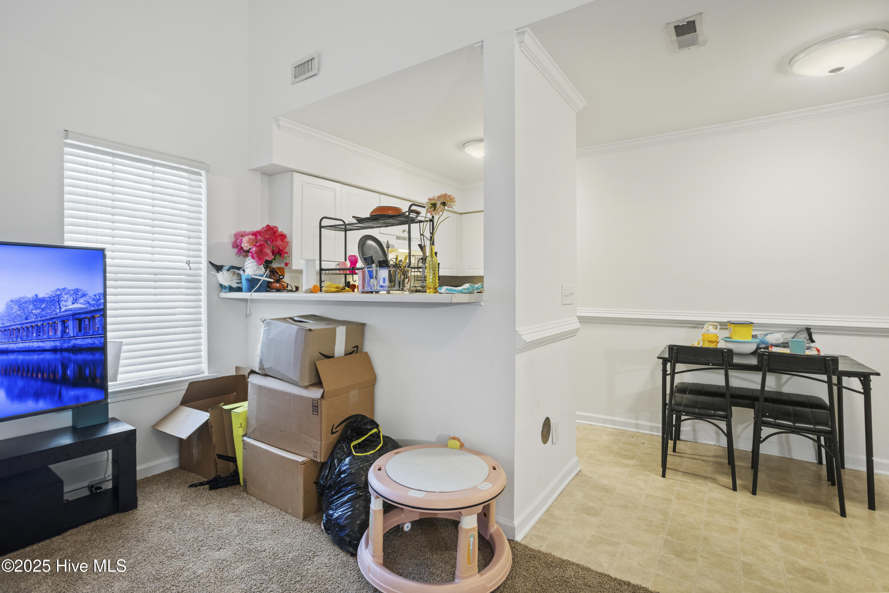 100496889 | Photo 16