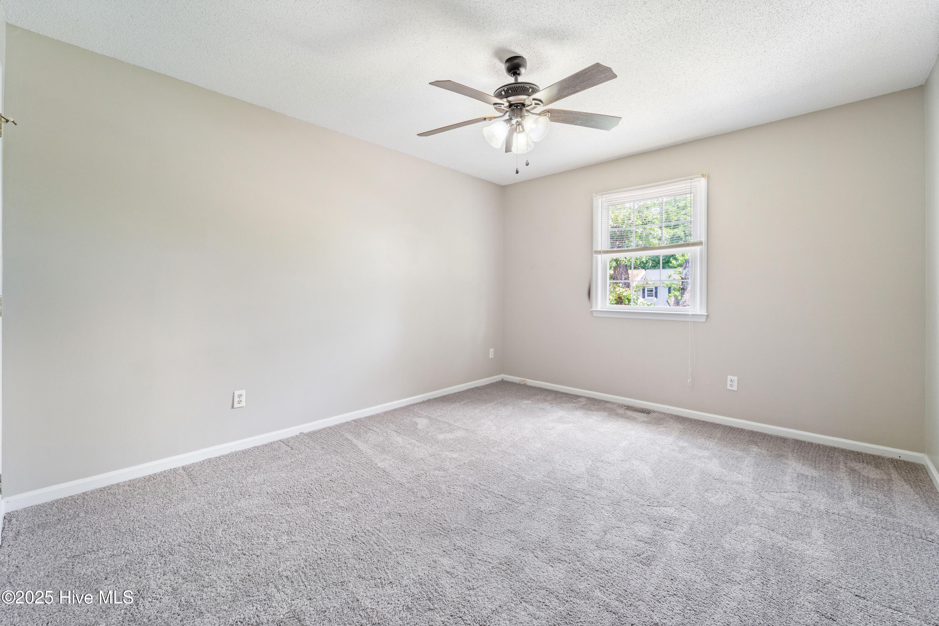 100555613 | Photo 12