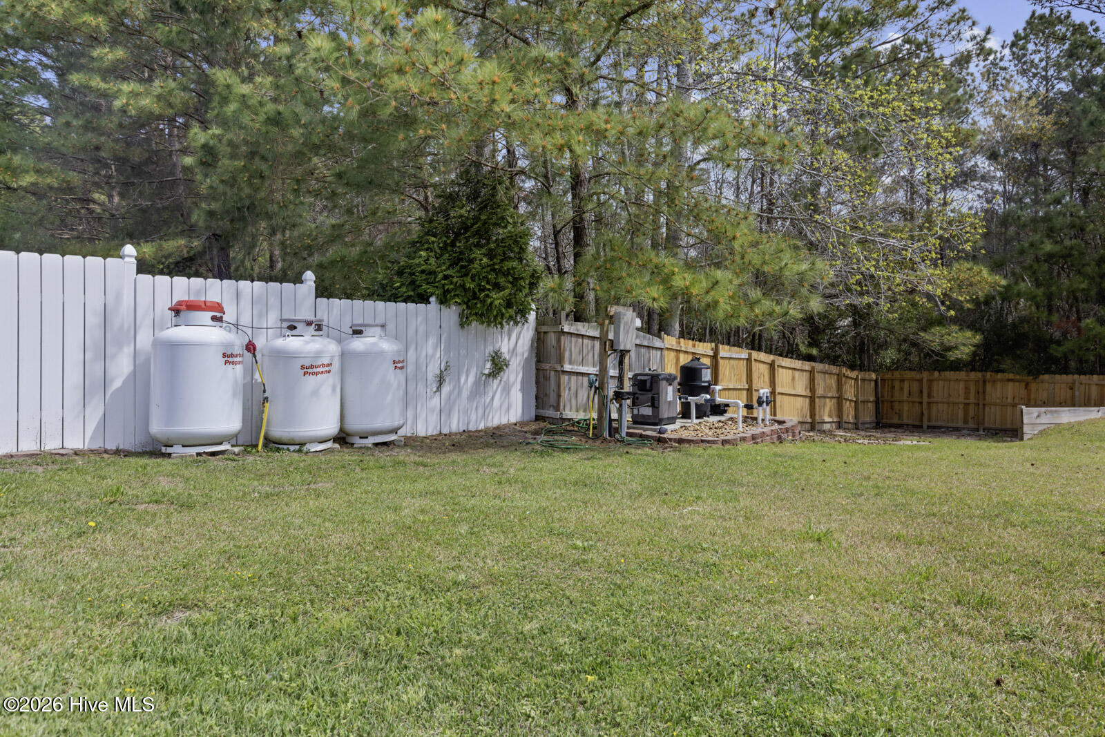 100562743 | Photo 51