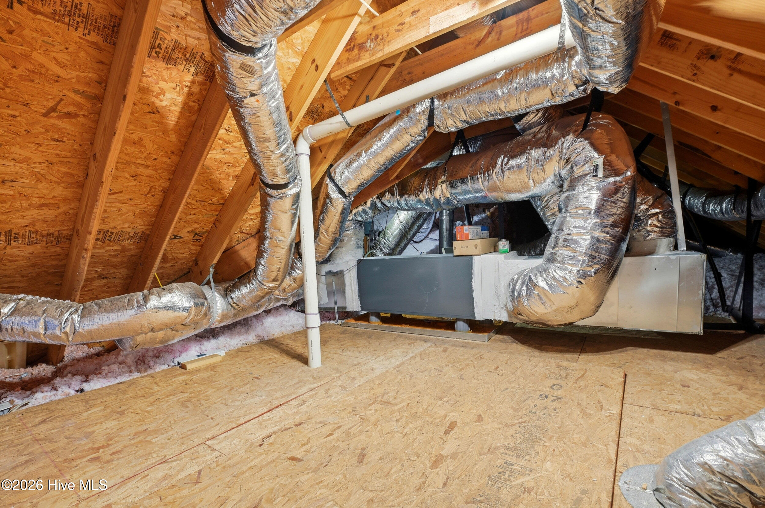 100555561 | Photo 46