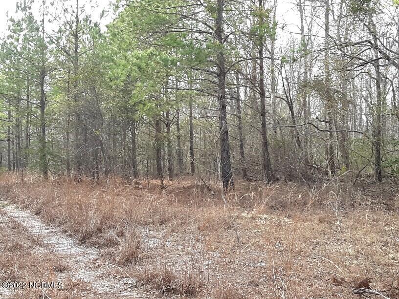 D08-66 John Pollock Road, Grantsboro, NC, 28529