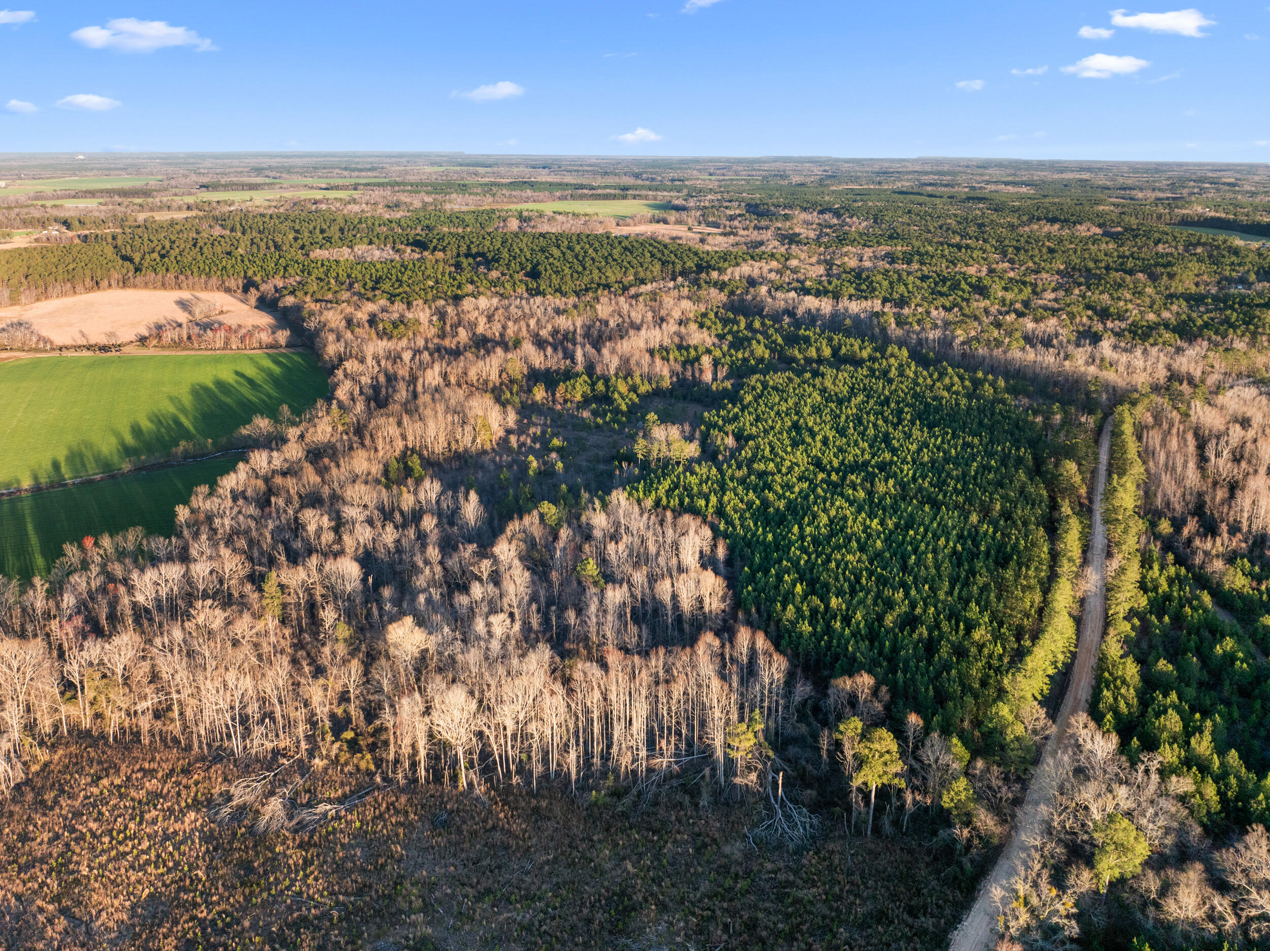 Homes for sale in Millen, GA | 0 Thomas Rd, Millen, GA 30442 | MLS# 549544