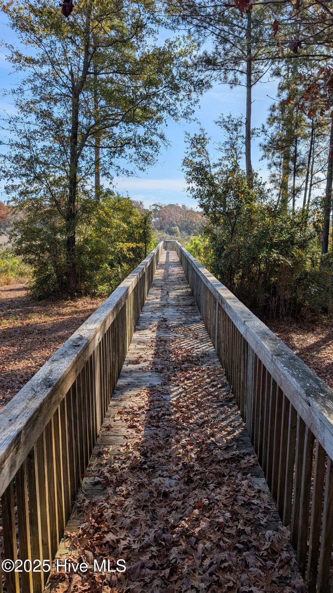 100543218 | Photo 13