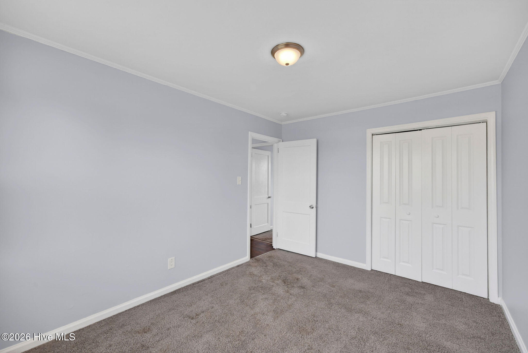 100567273 | Photo 35