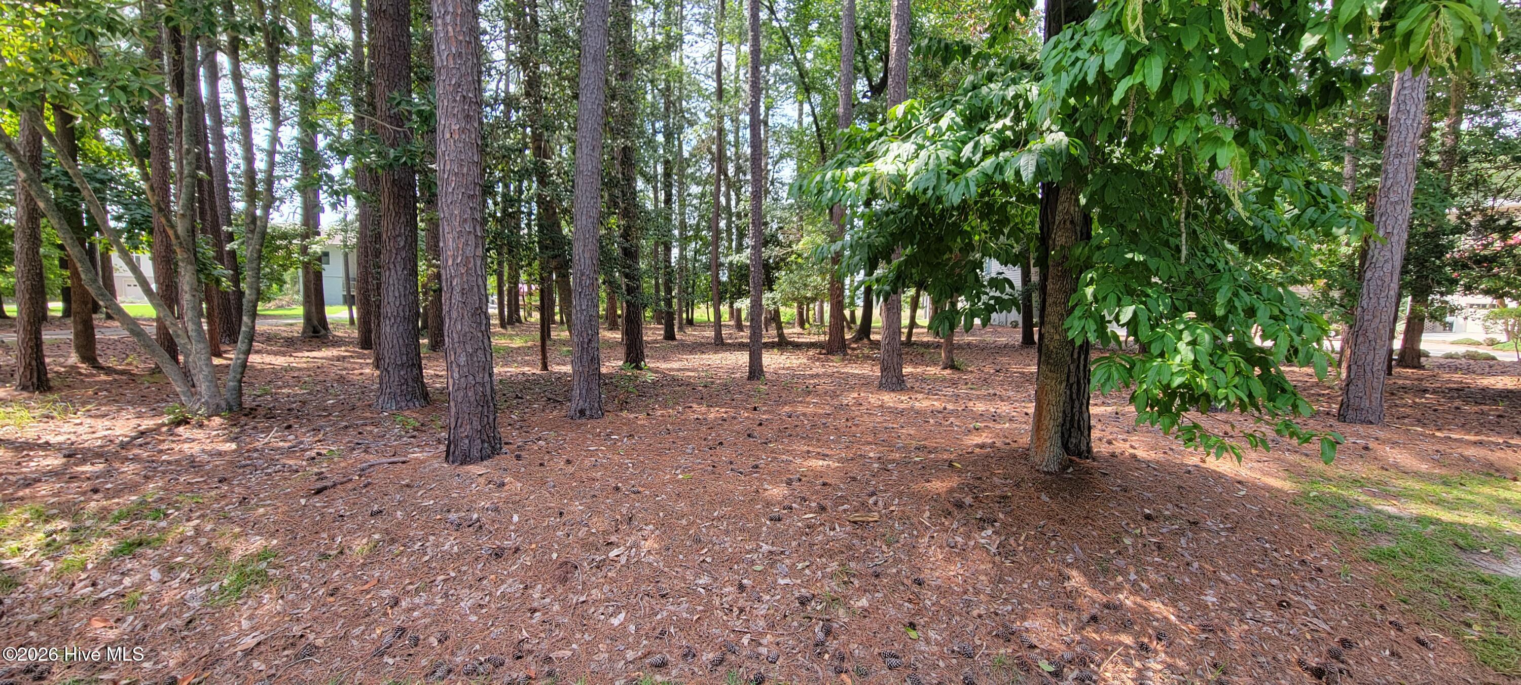 Lot 108 Live Oak, Washington, North Carolina, 0 ,Residential Lot,For sale,Live Oak,100596798