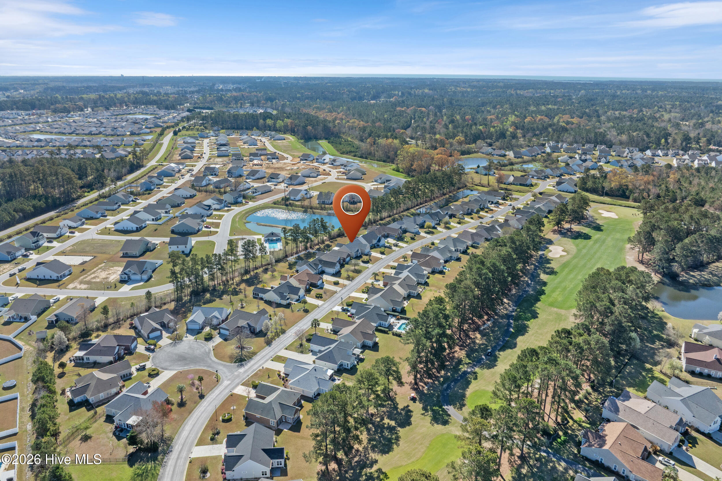 100562185 | Photo 37