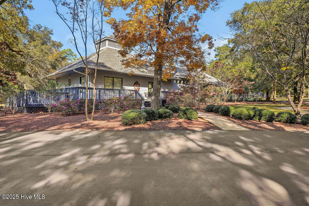 100547800 | Photo 28