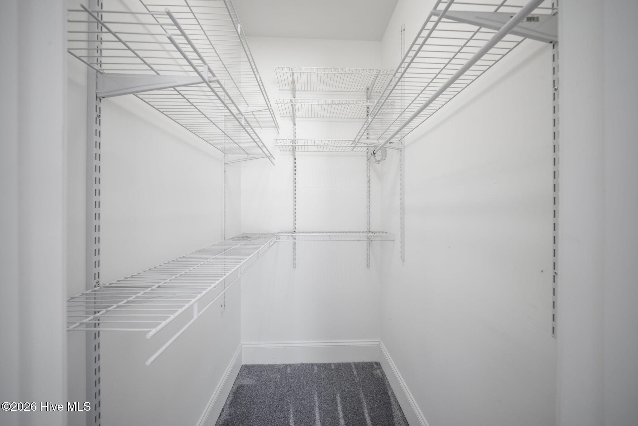 100564358 | Photo 39