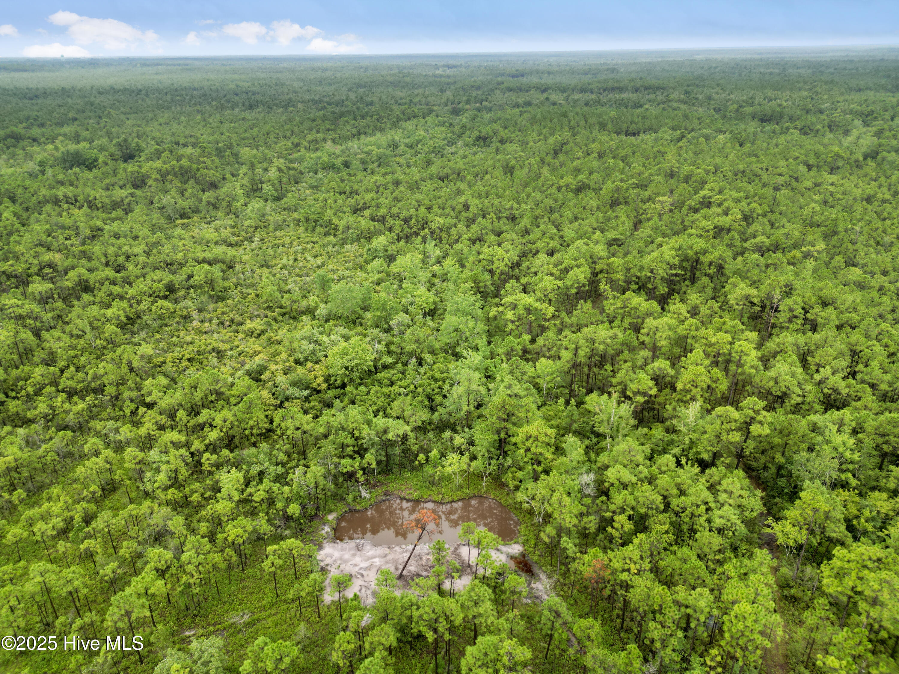 100525966 | Photo 23