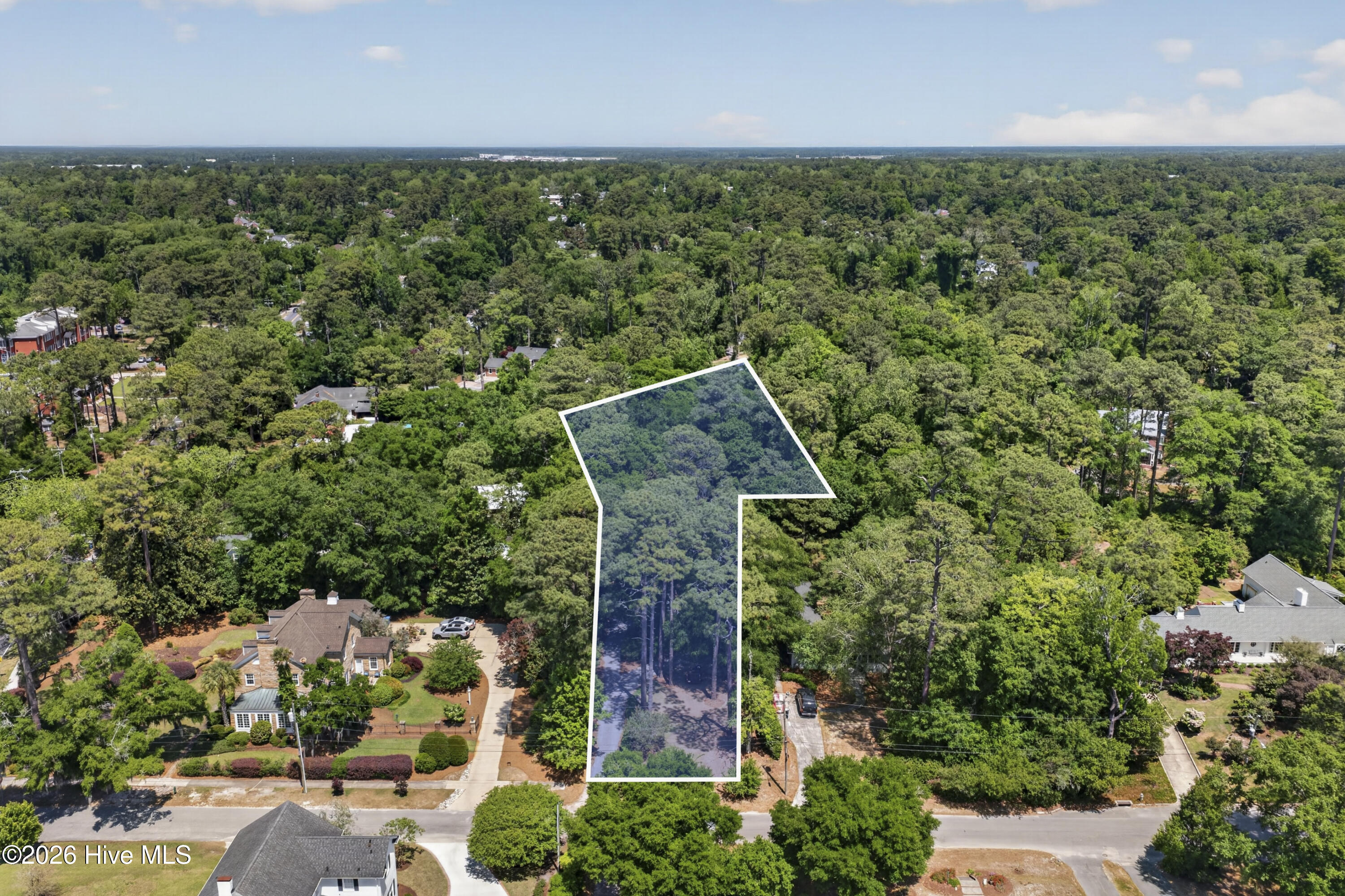 100569316 | Photo 41