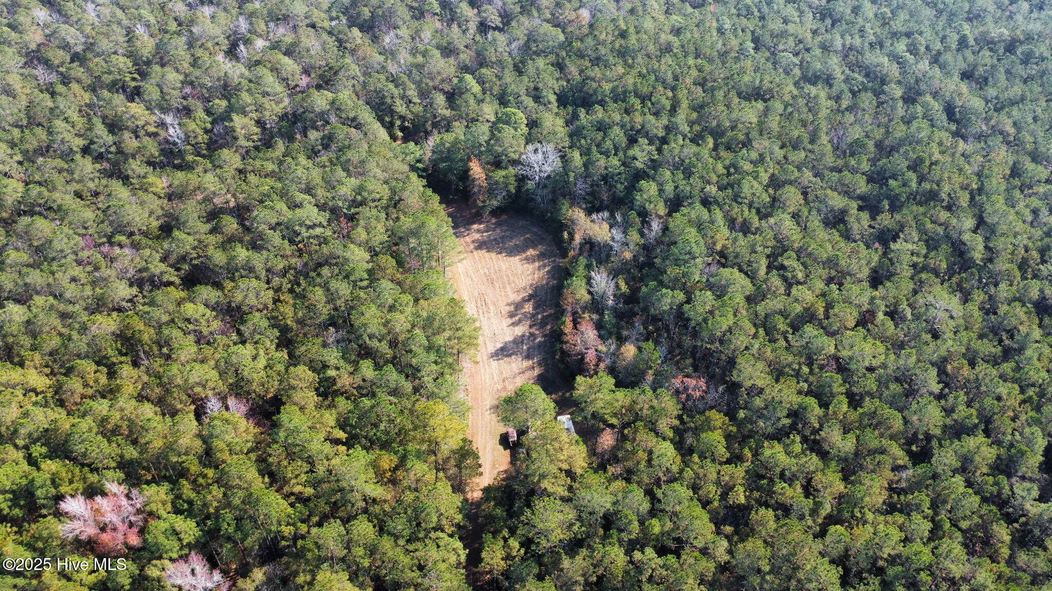 100543116 | Photo 10