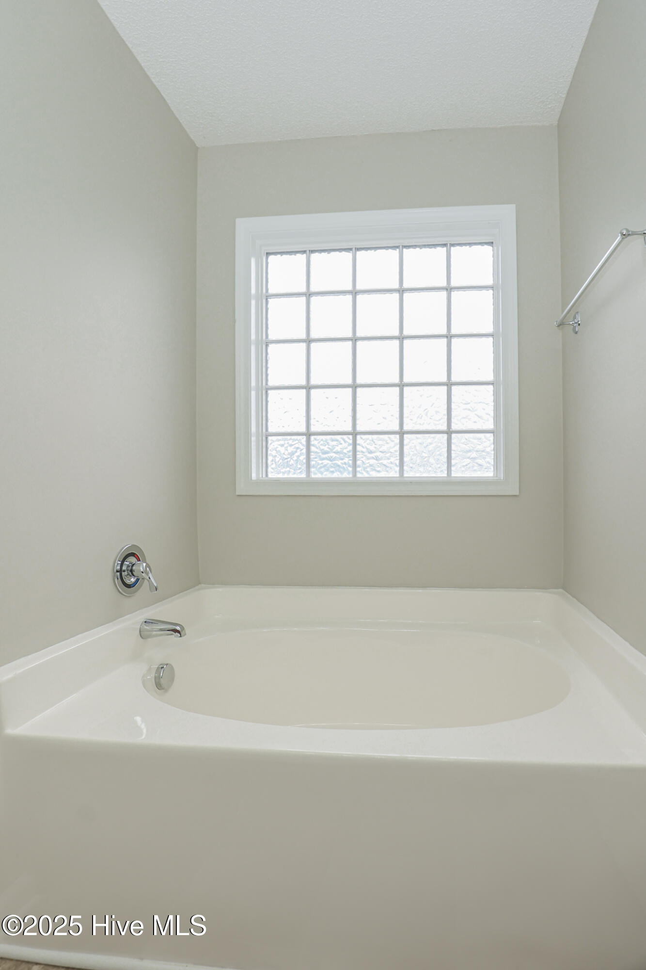 100536070 | Photo 34