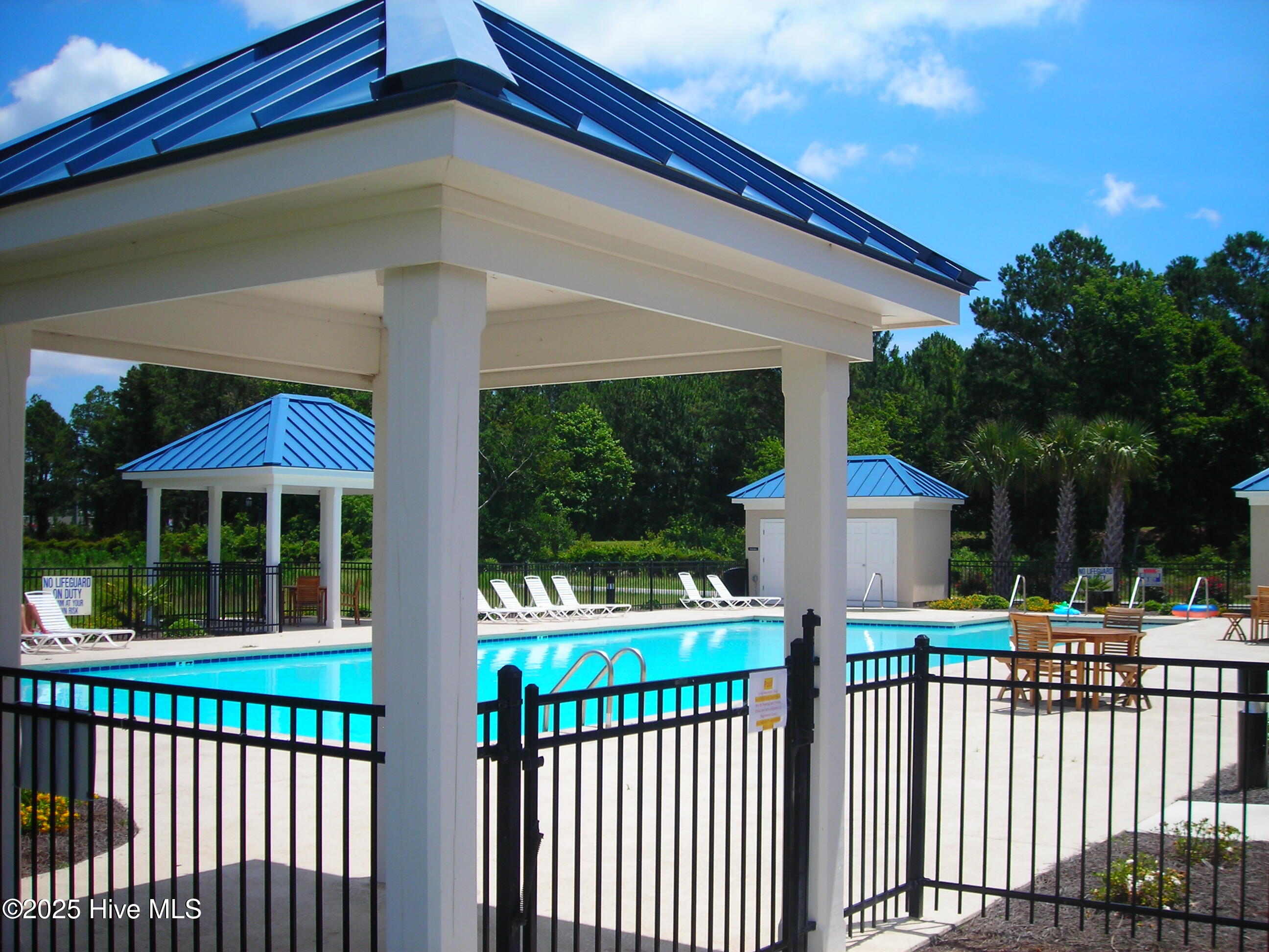 100503609 | Photo 32