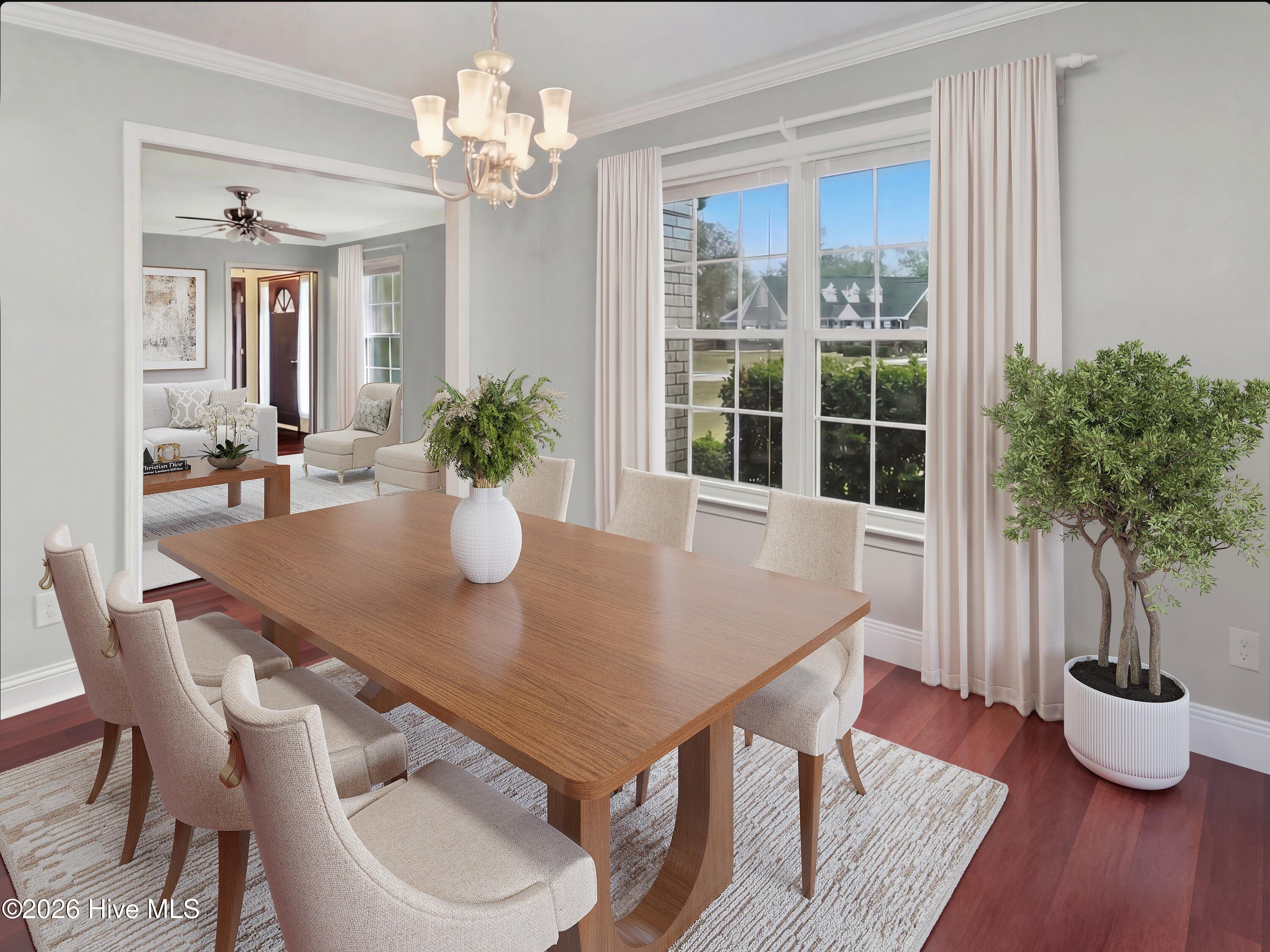 100546216 | Photo 11