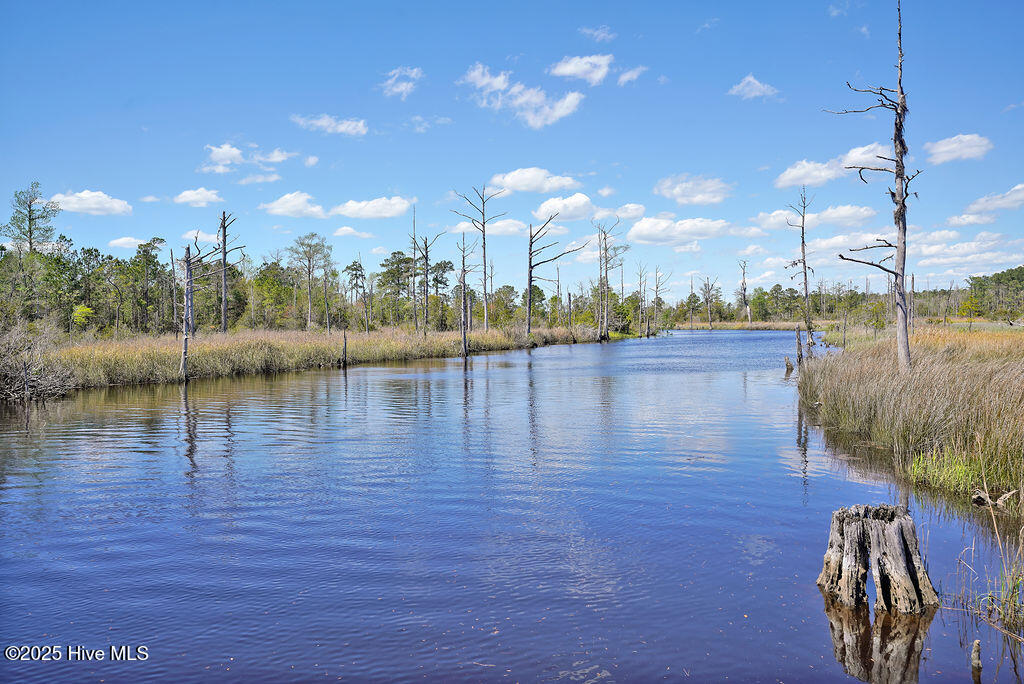 100542530 | Photo 78