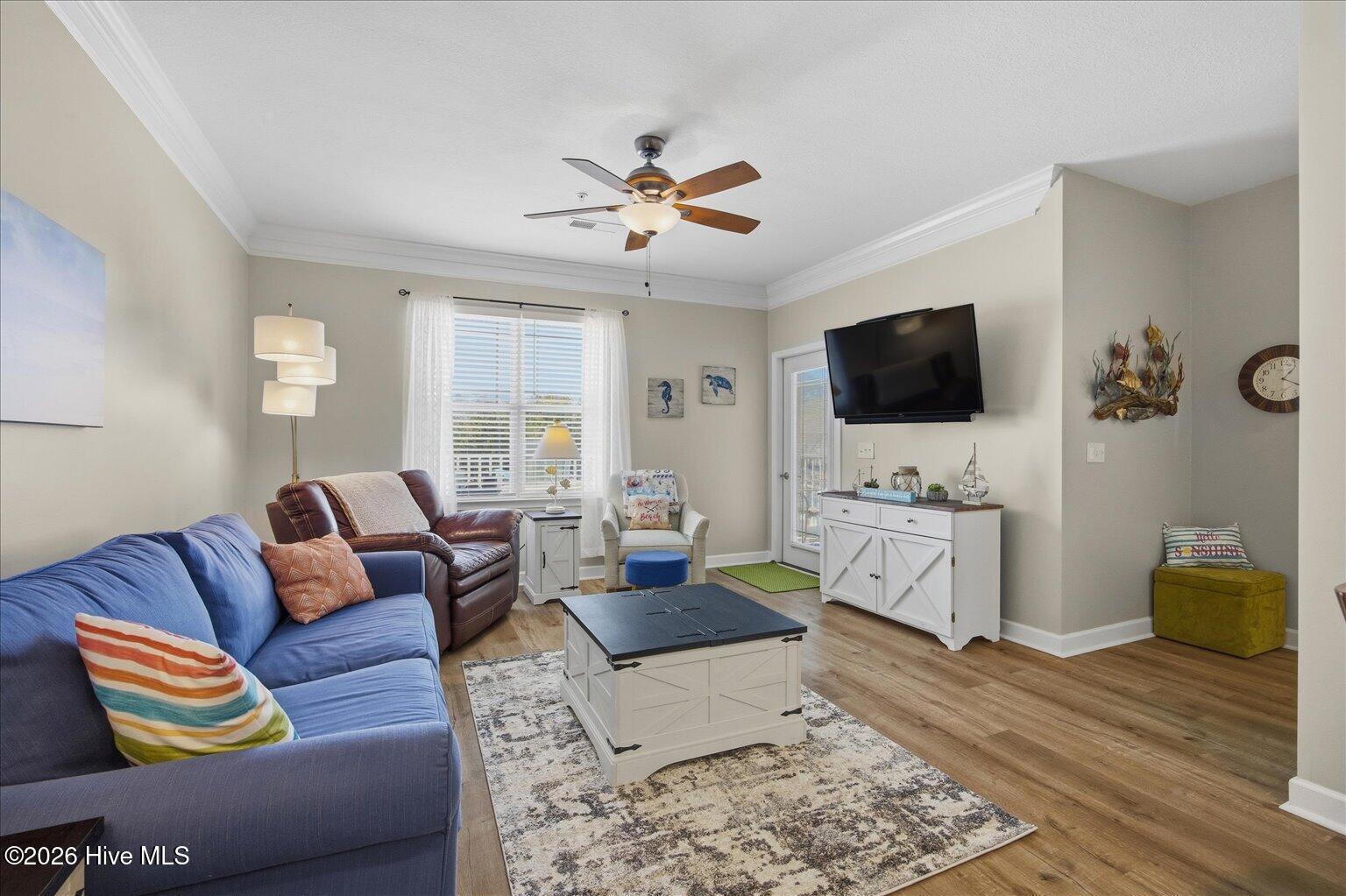 100558863 | Photo 11