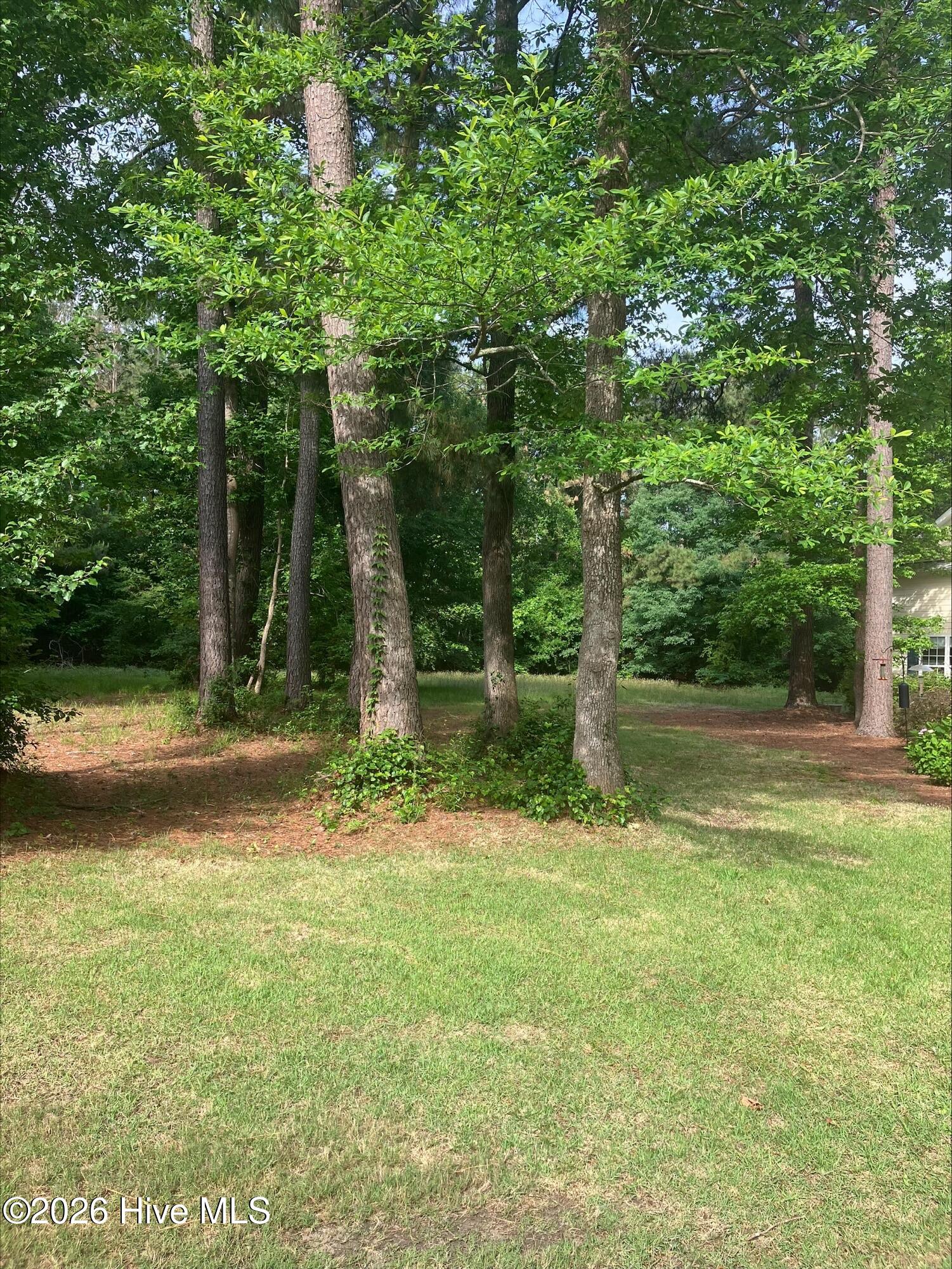 157 415 Southern Magnolia Lane image