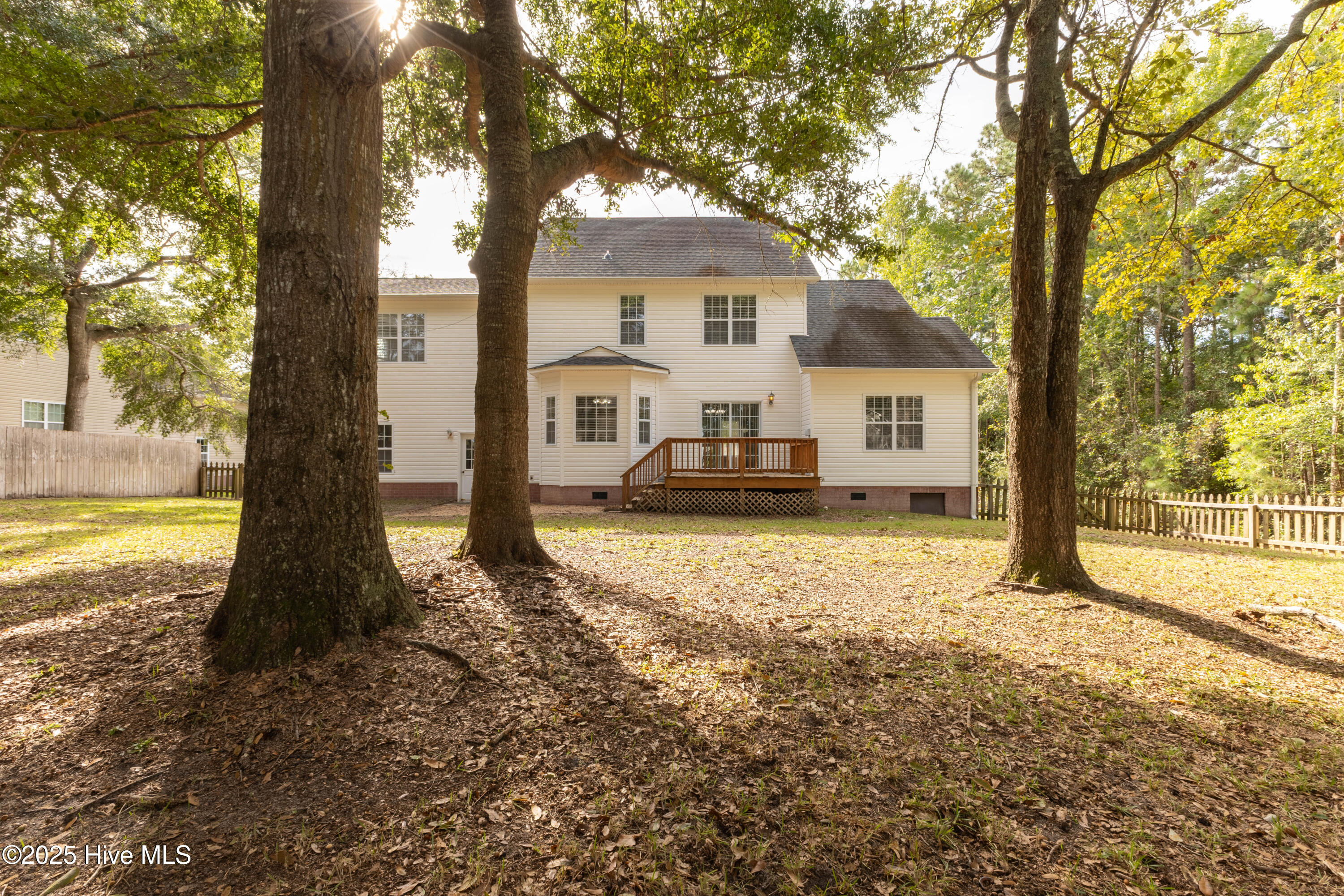 100534088 | Photo 44