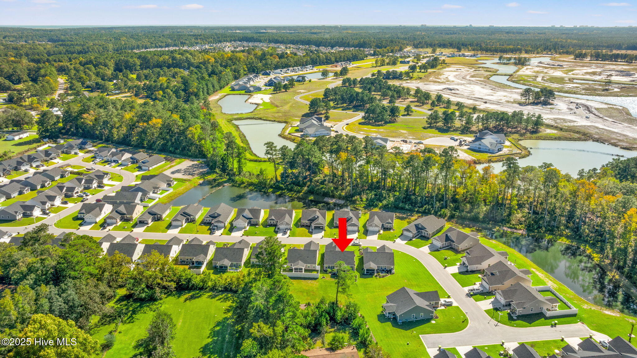 100537492 | Photo 29