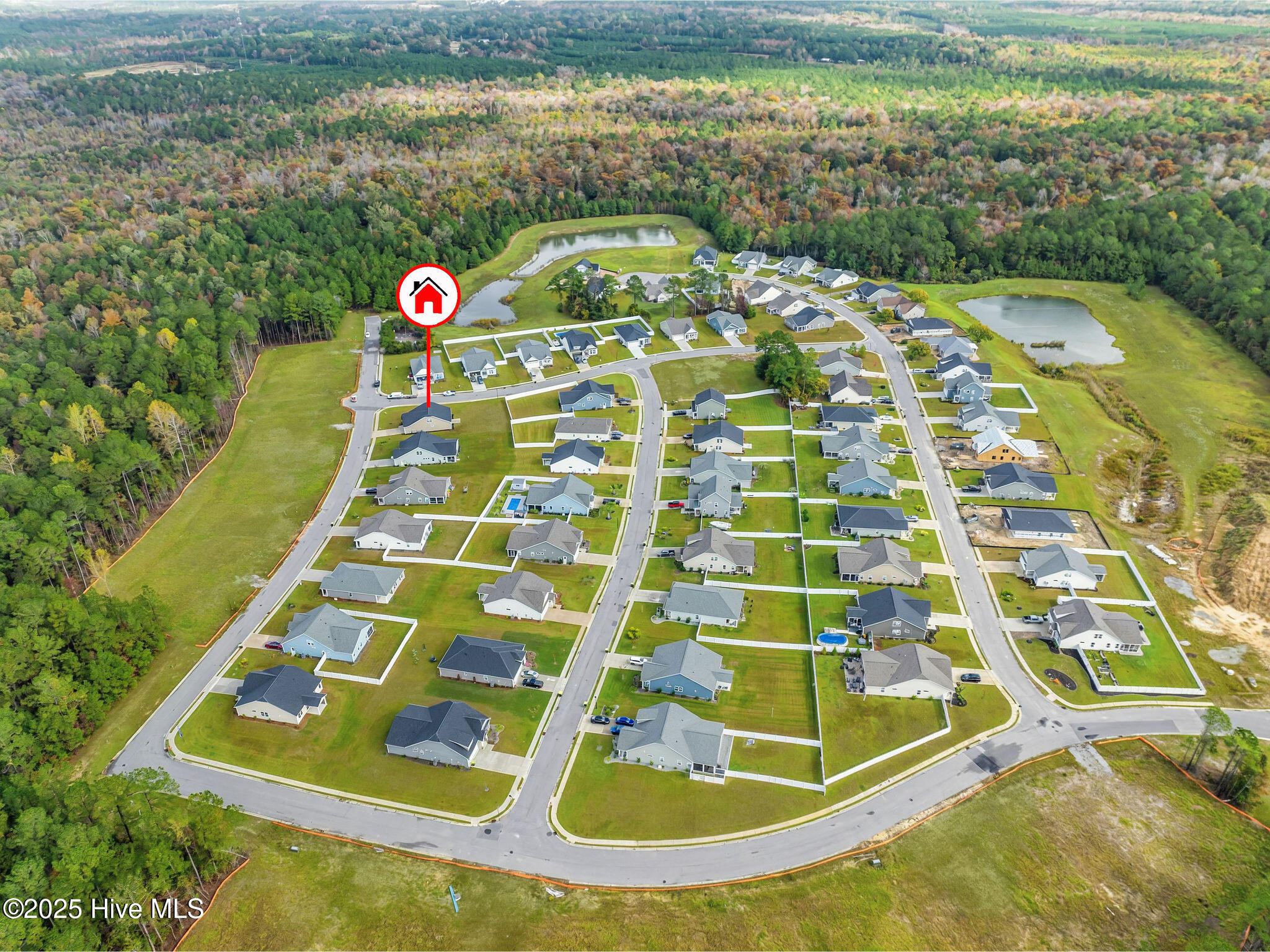 100542569 | Photo 50