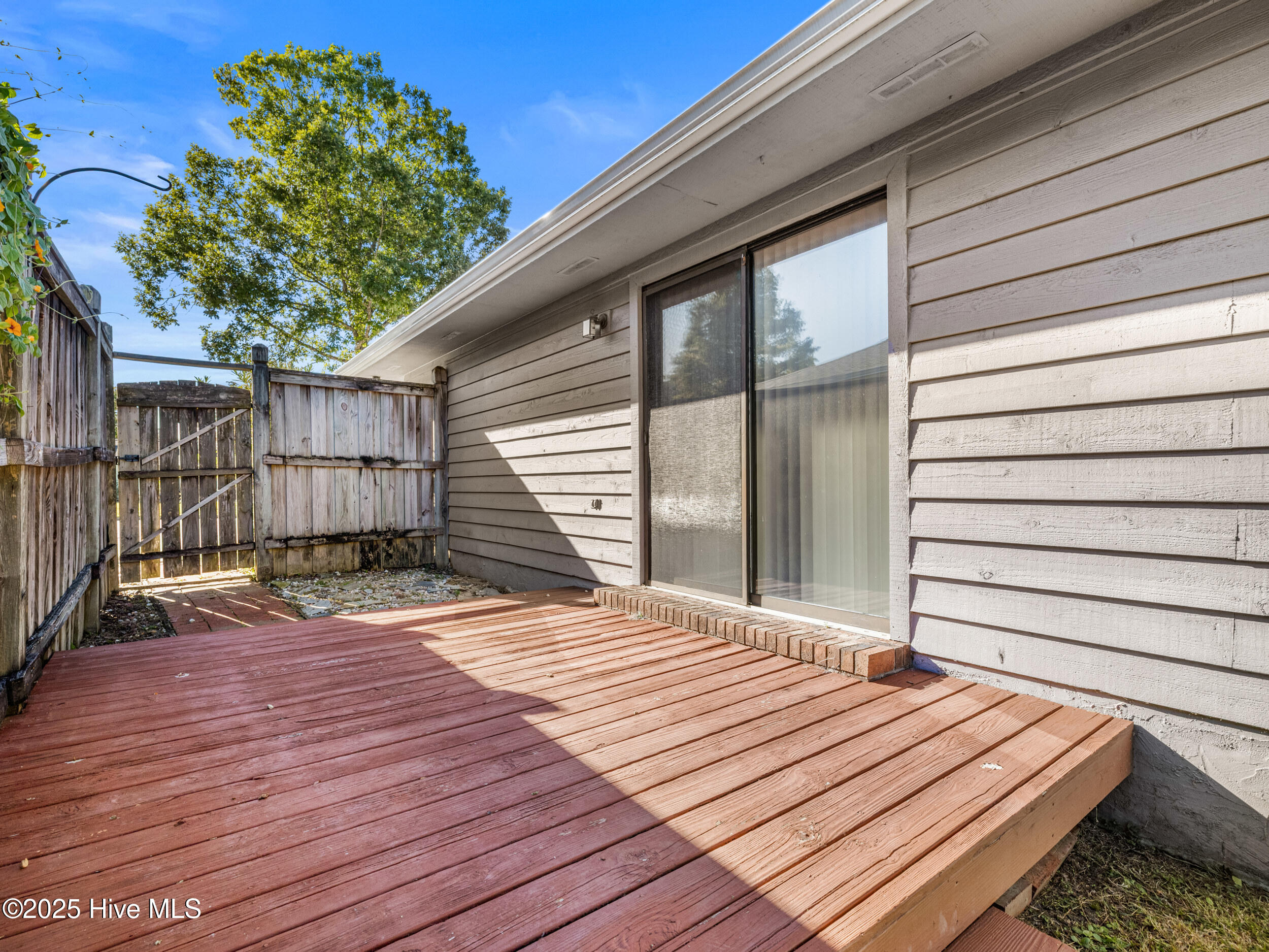 100538354 | Photo 52