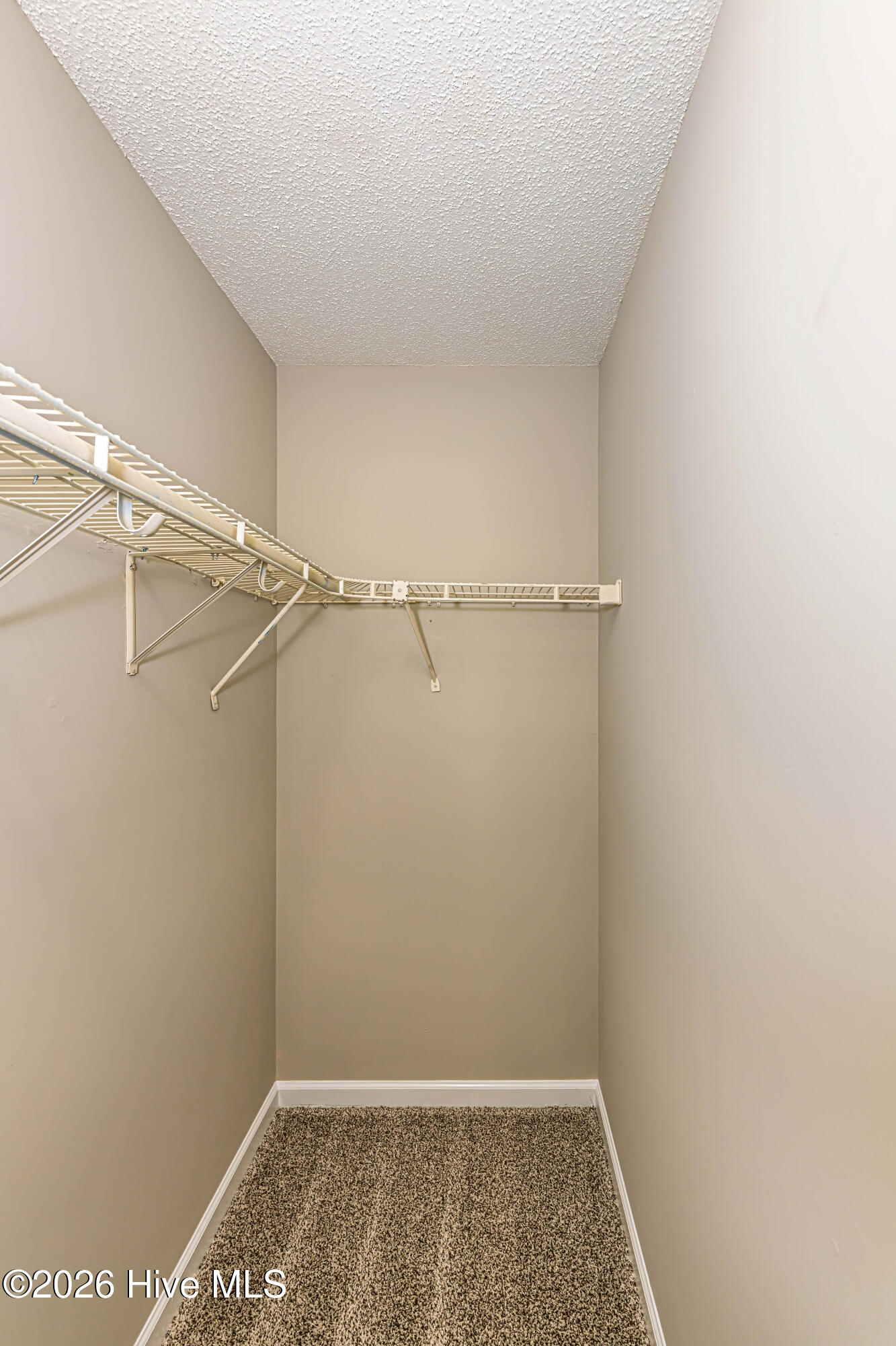 100568106 | Photo 39