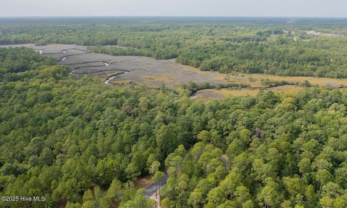 100537919 | Photo 13