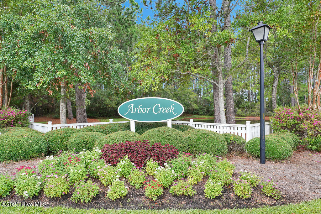 100541606 | Photo 47