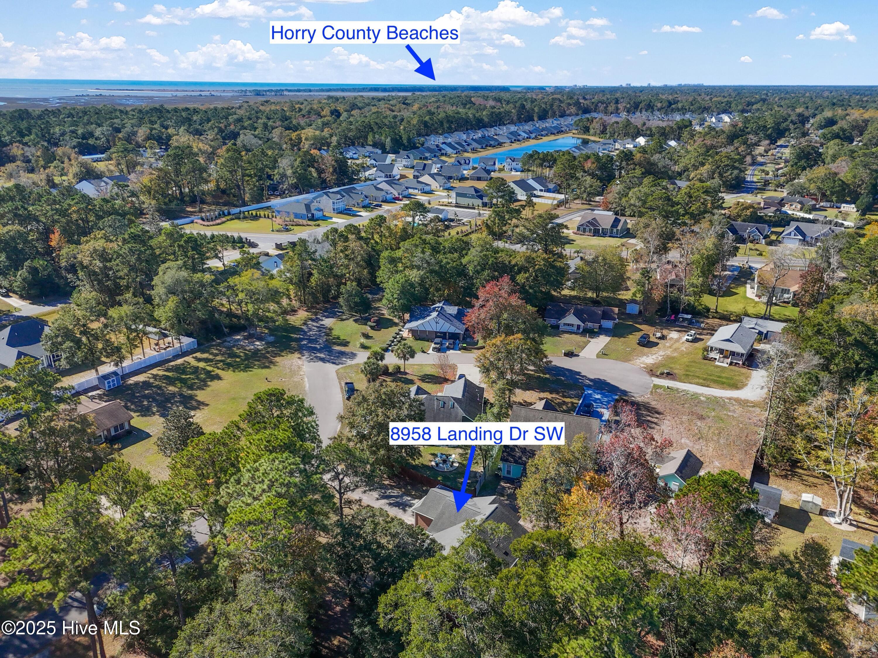 100539605 | Photo 61