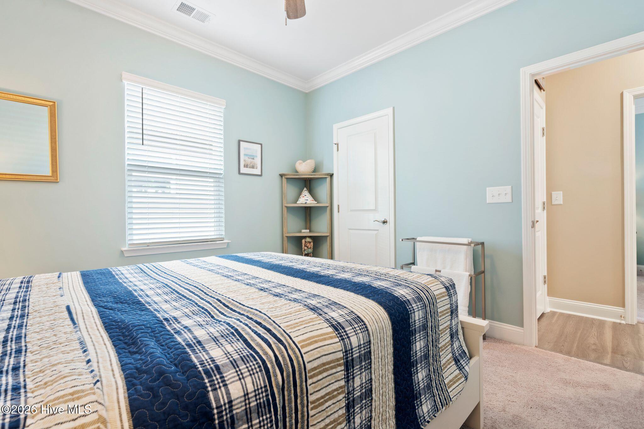 100553867 | Photo 31