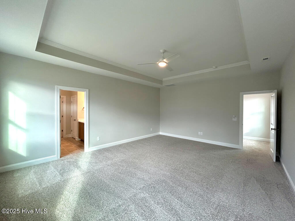 100535078 | Photo 37