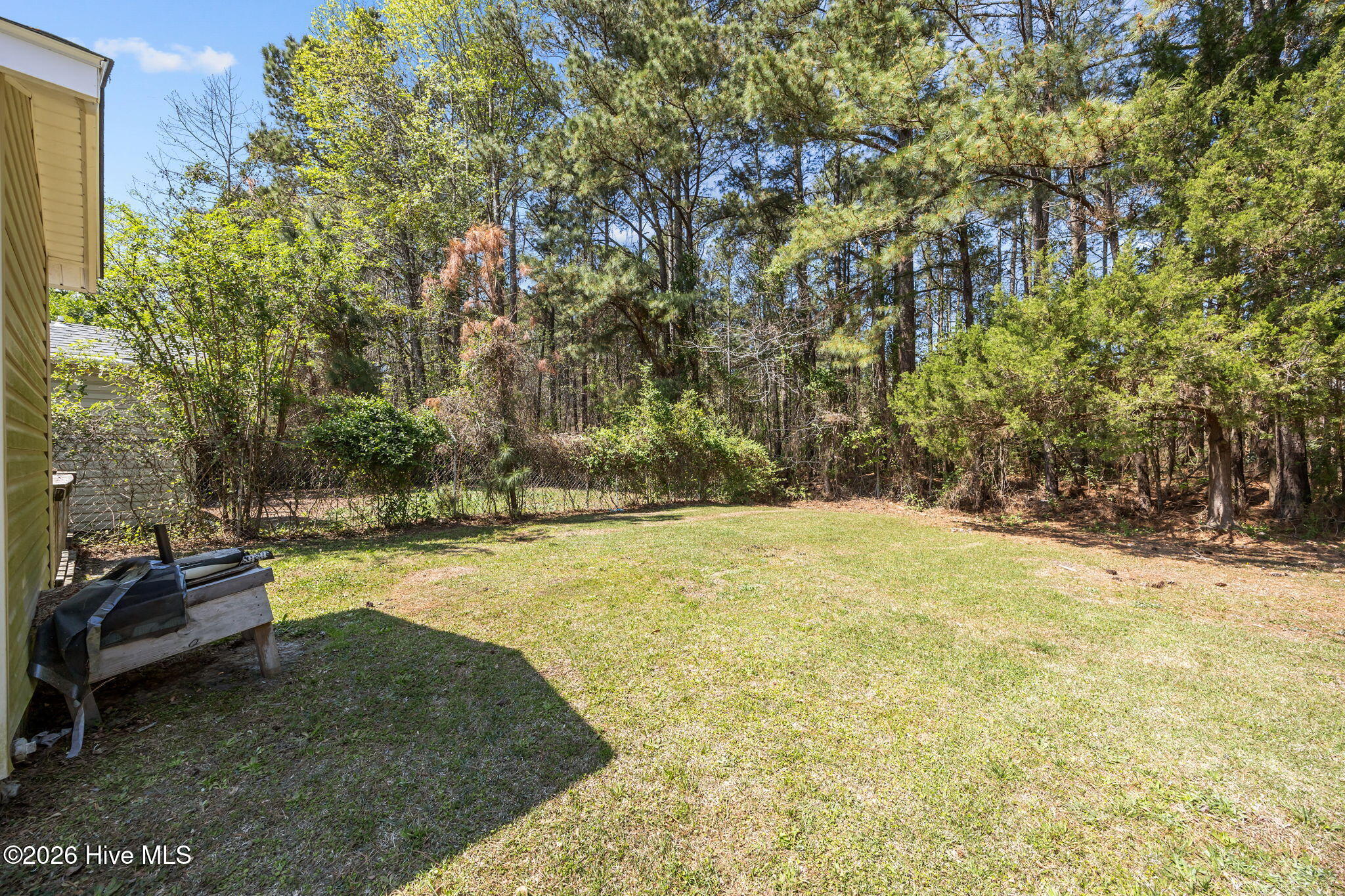 100563578 | Photo 43