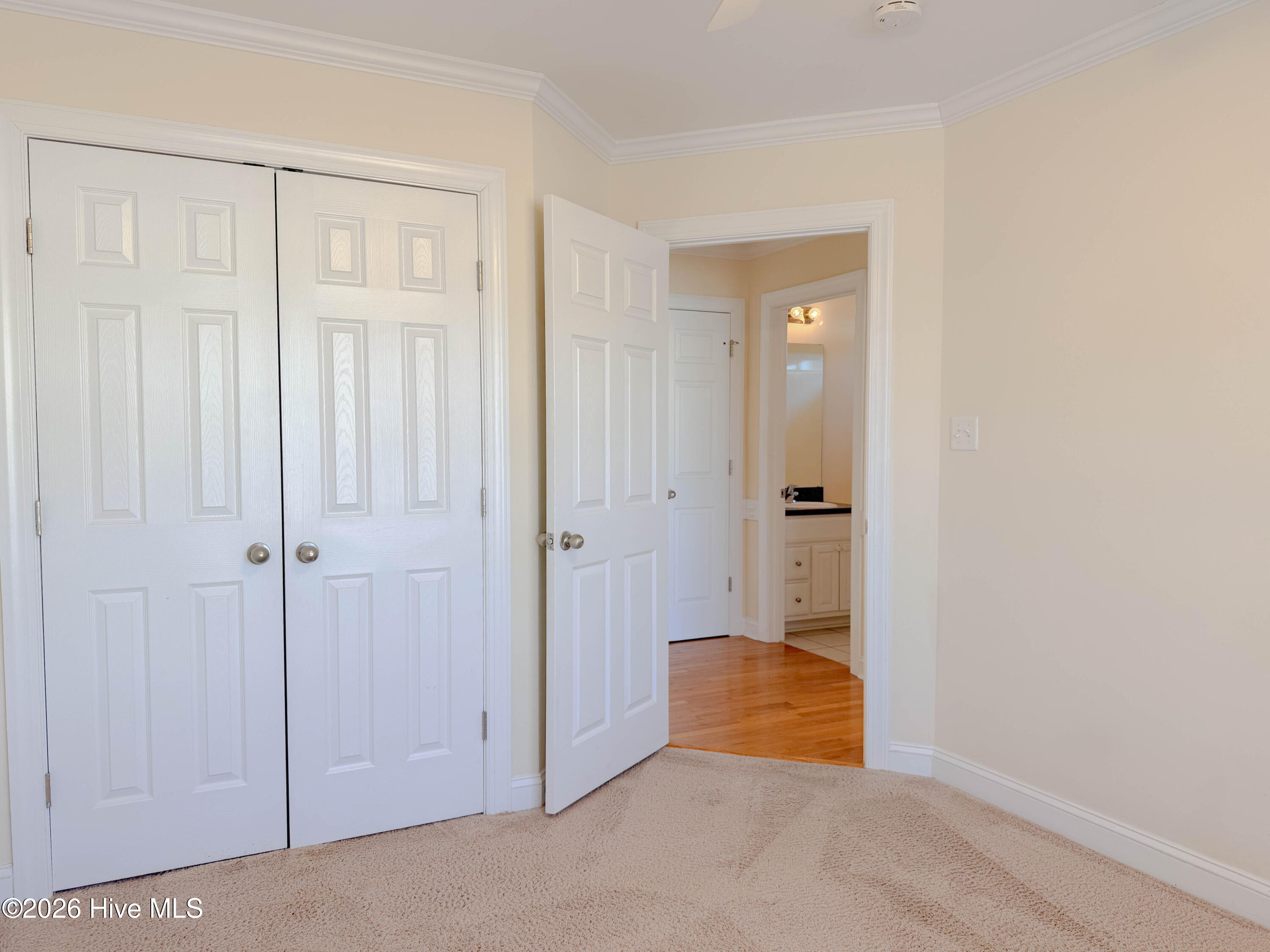 100554252 | Photo 39