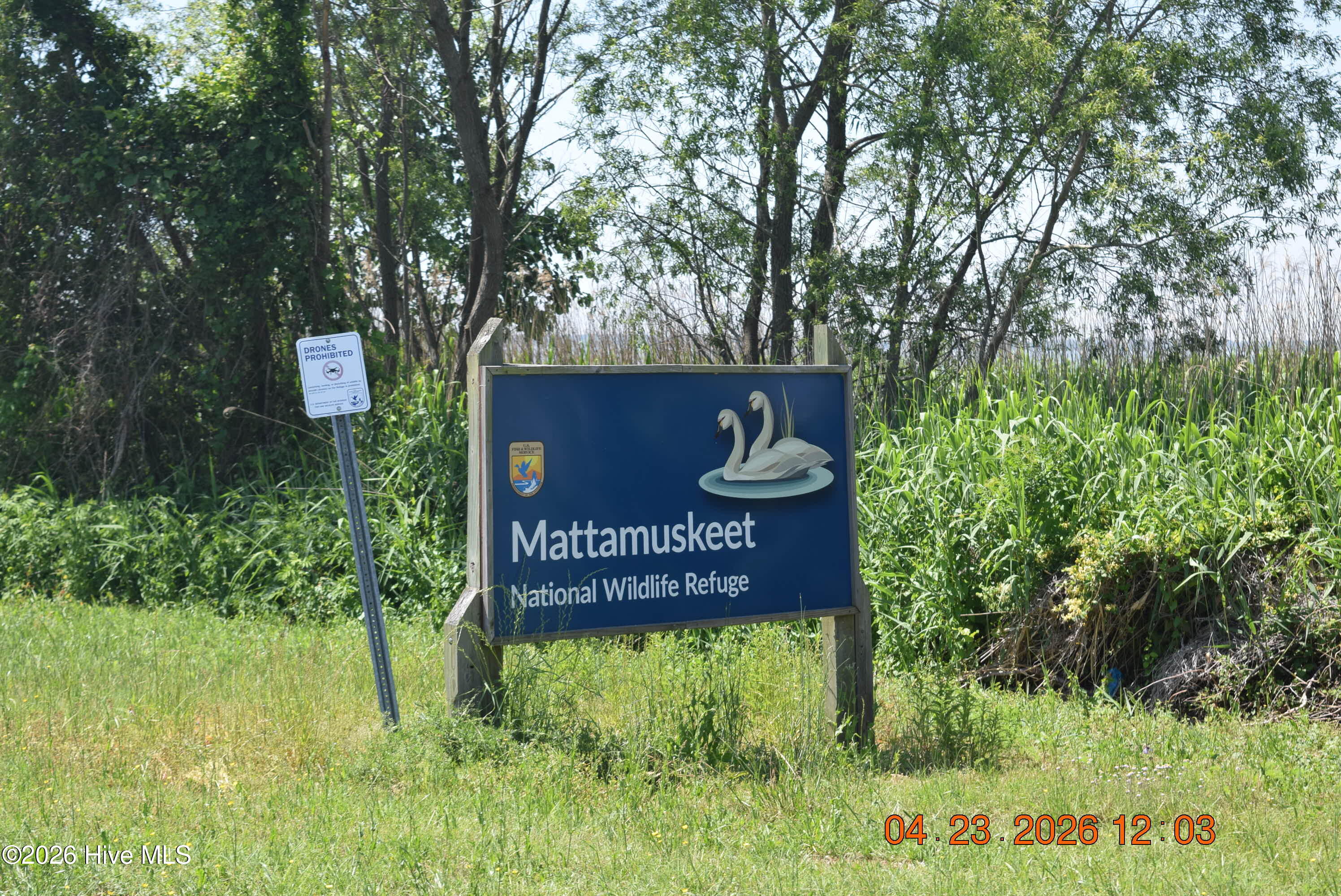 Lake Mattamuskeet National Wildlife Refuge & Alligator River / Buck Ridge Game Lands