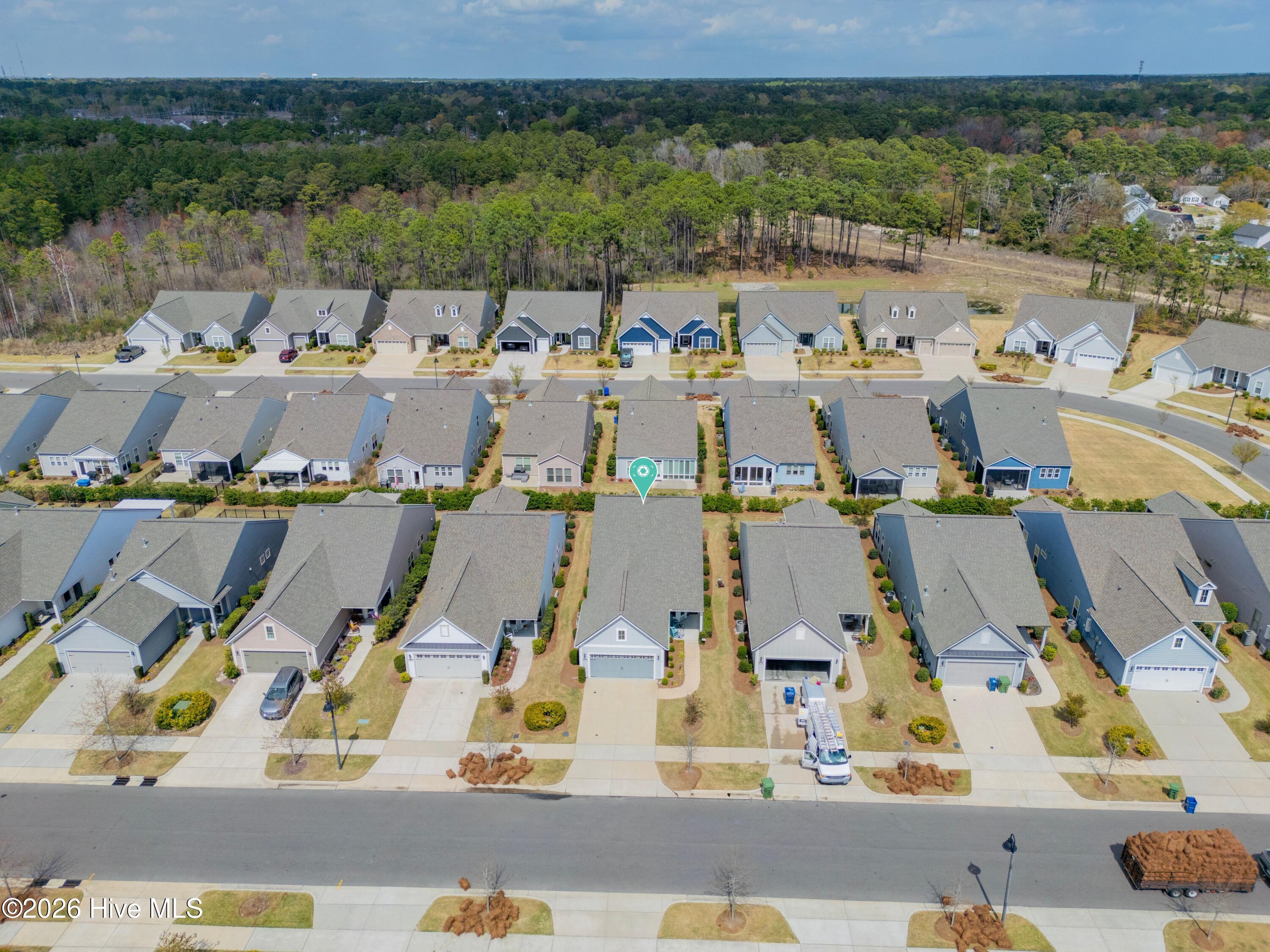 100561107 | Photo 31