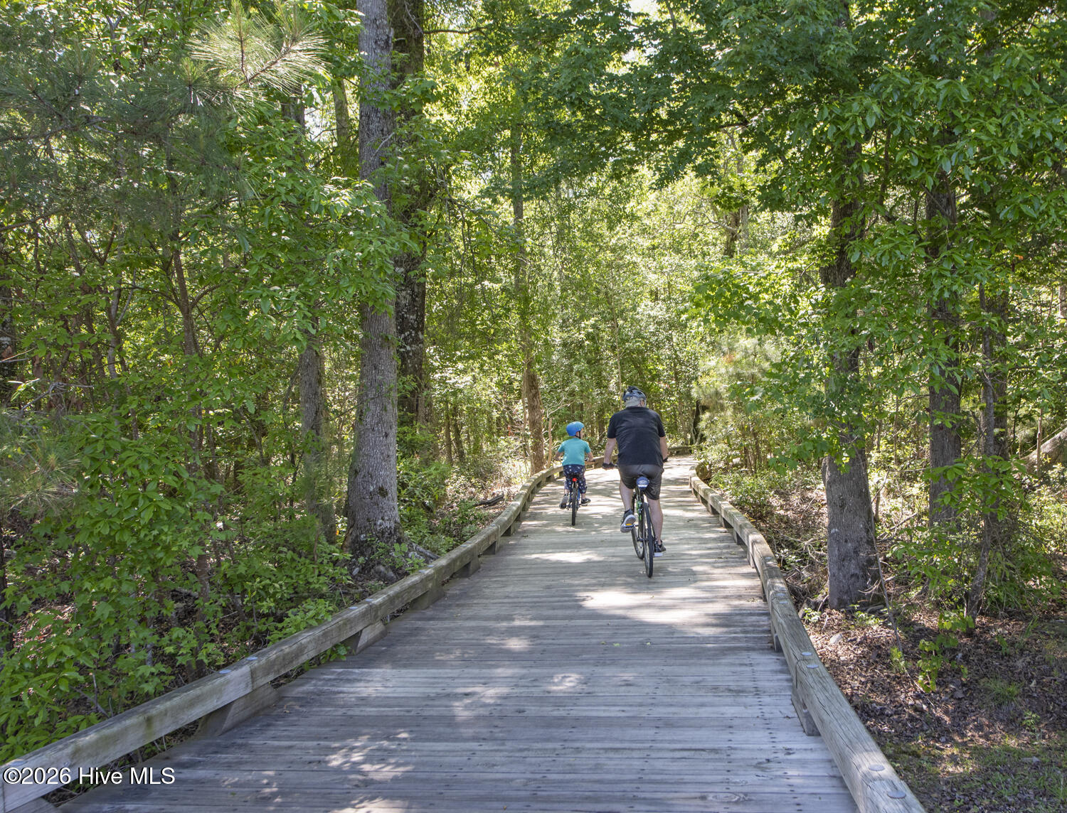 100550299 | Photo 56