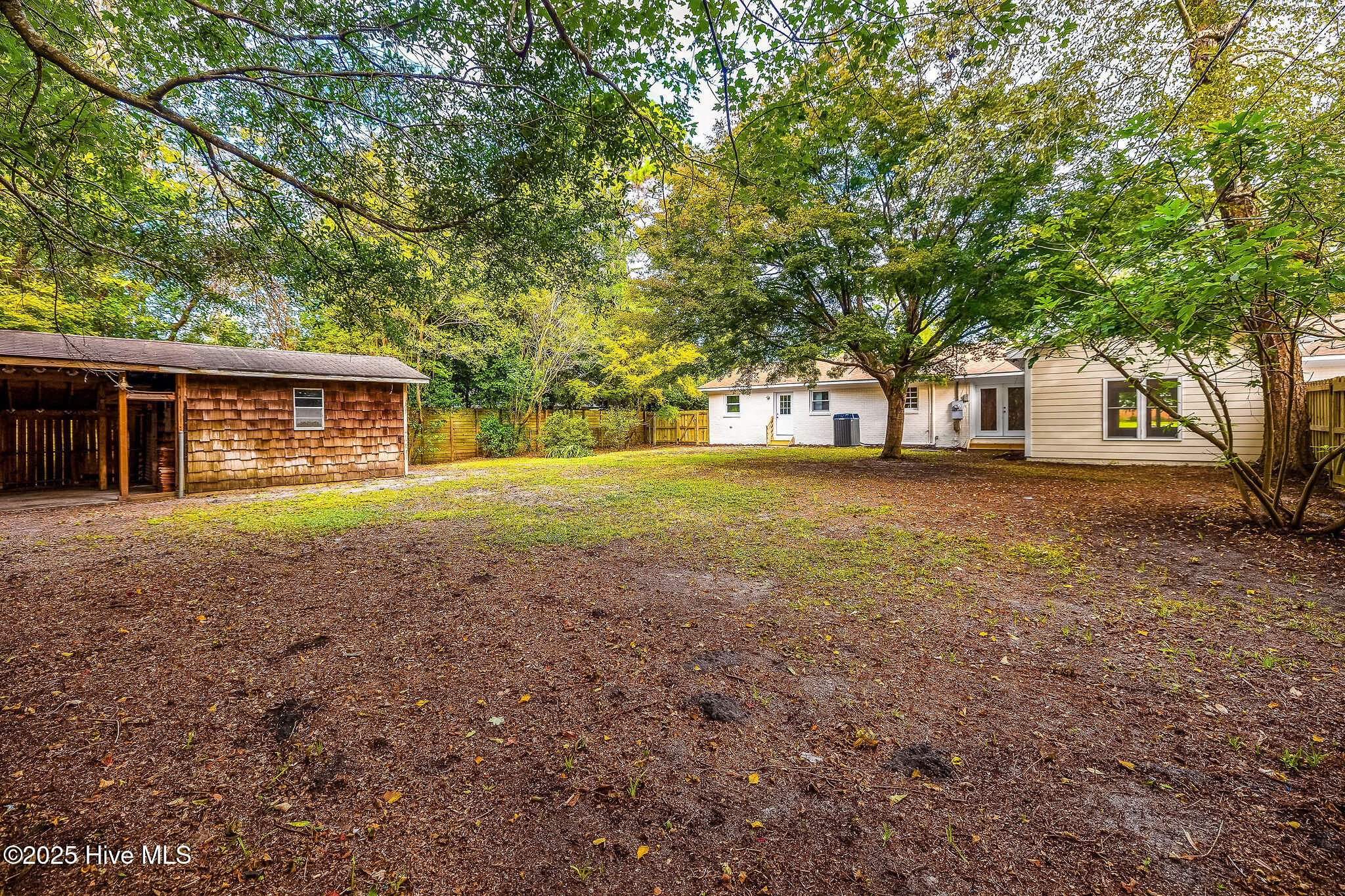 100529892 | Photo 42