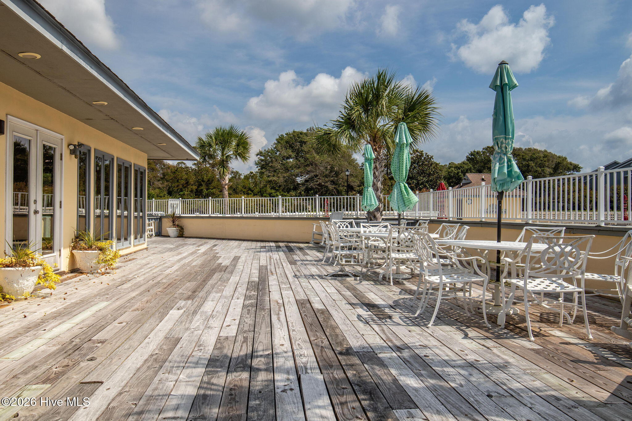 100554527 | Photo 48