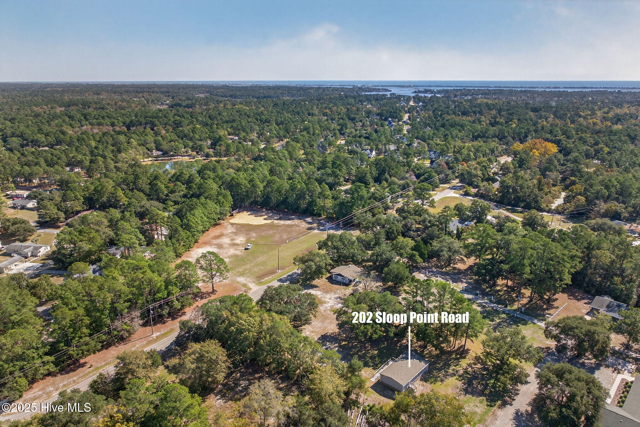 100537876 | Photo 45