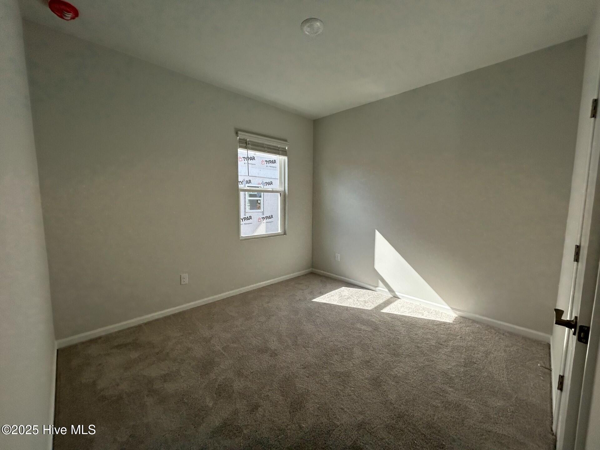 100540536 | Photo 15