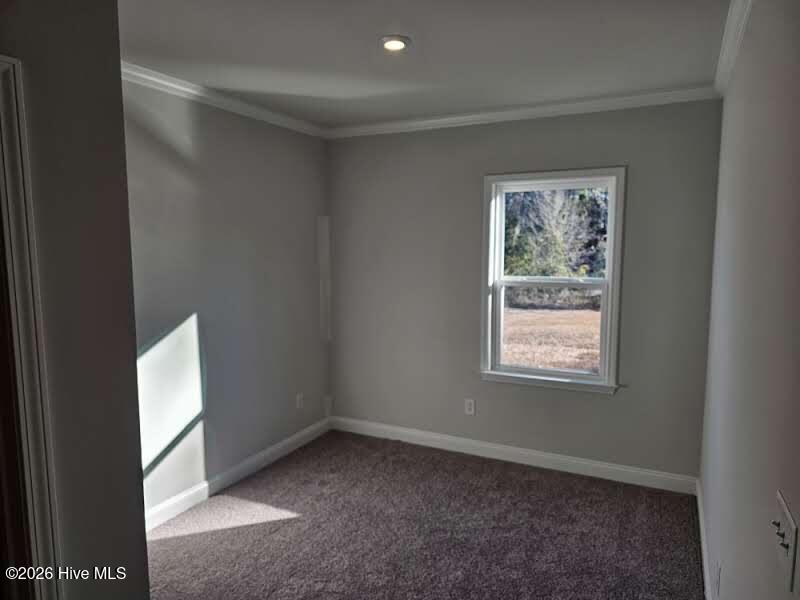 100531548 | Photo 23