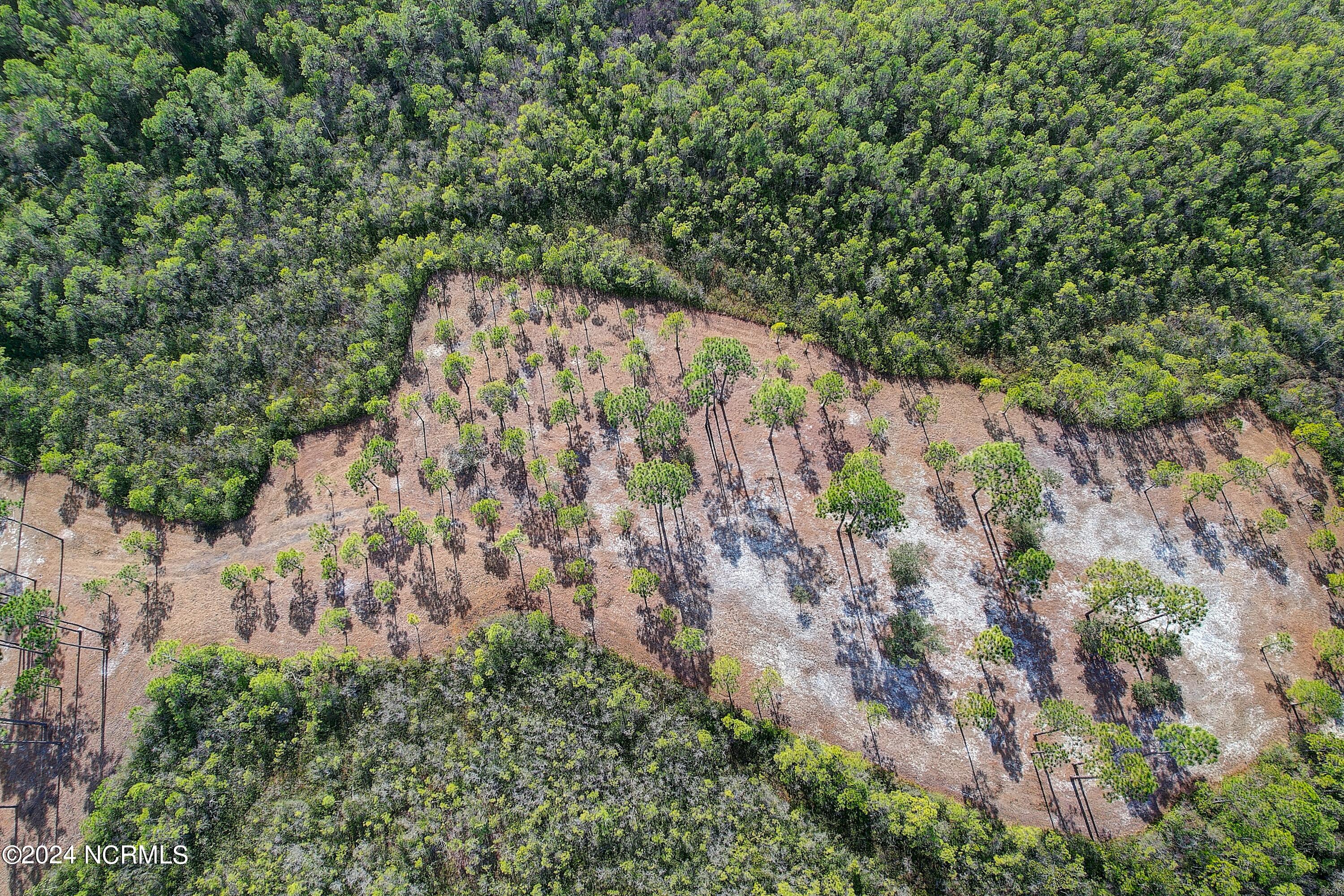 100559108 | Photo 12