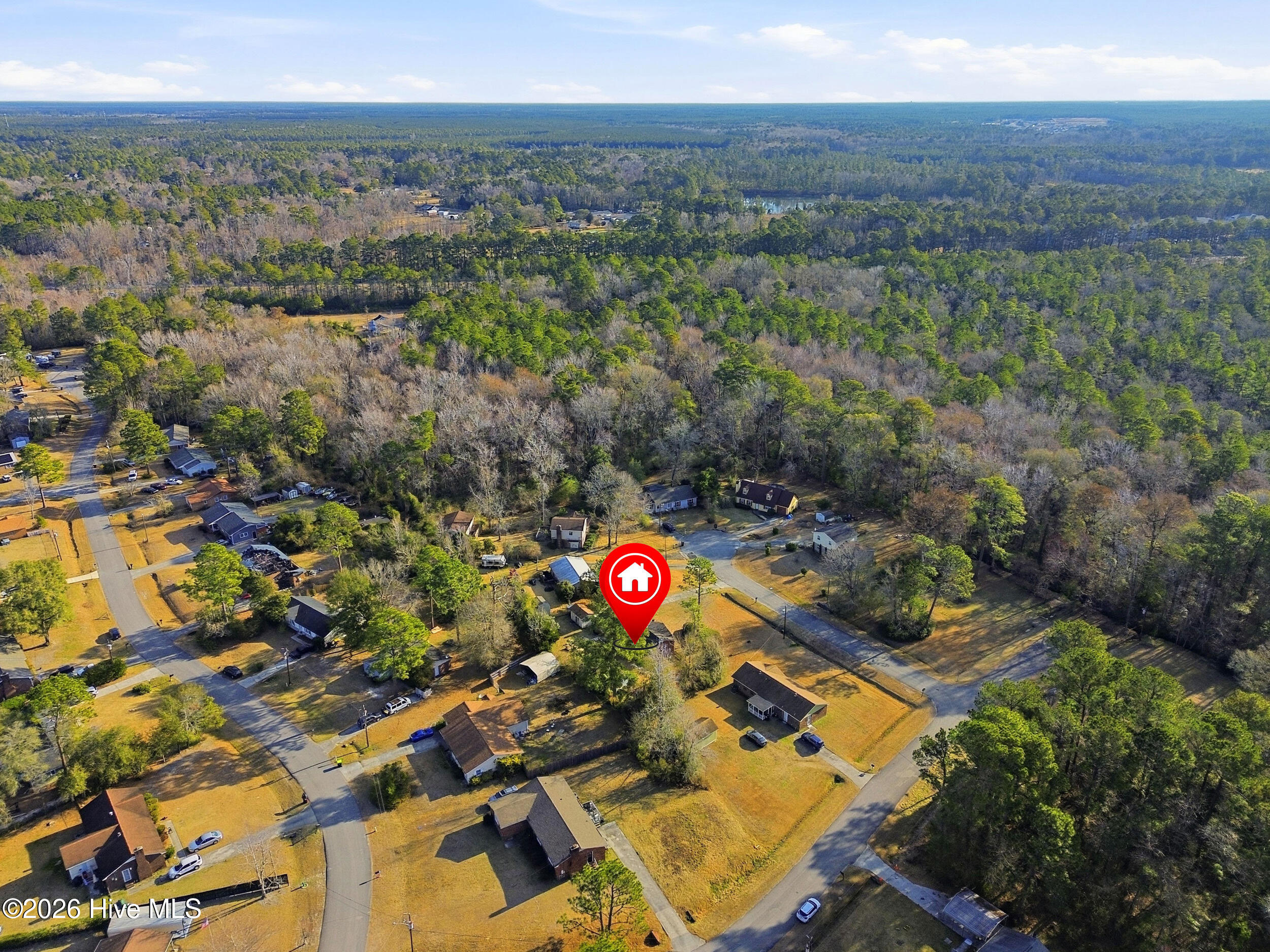 100551397 | Photo 35