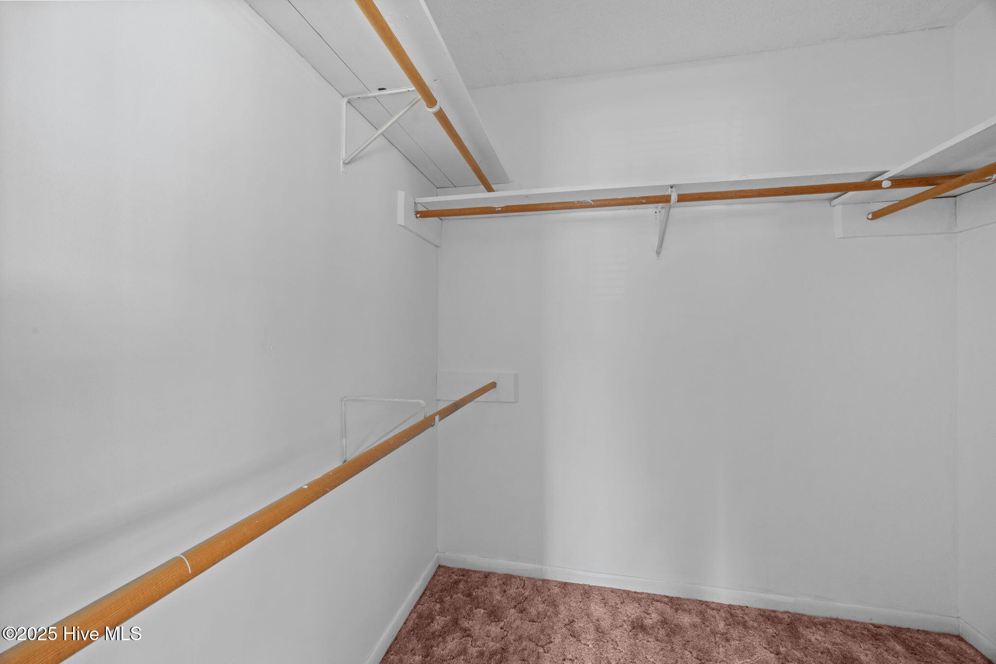 100542323 | Photo 13