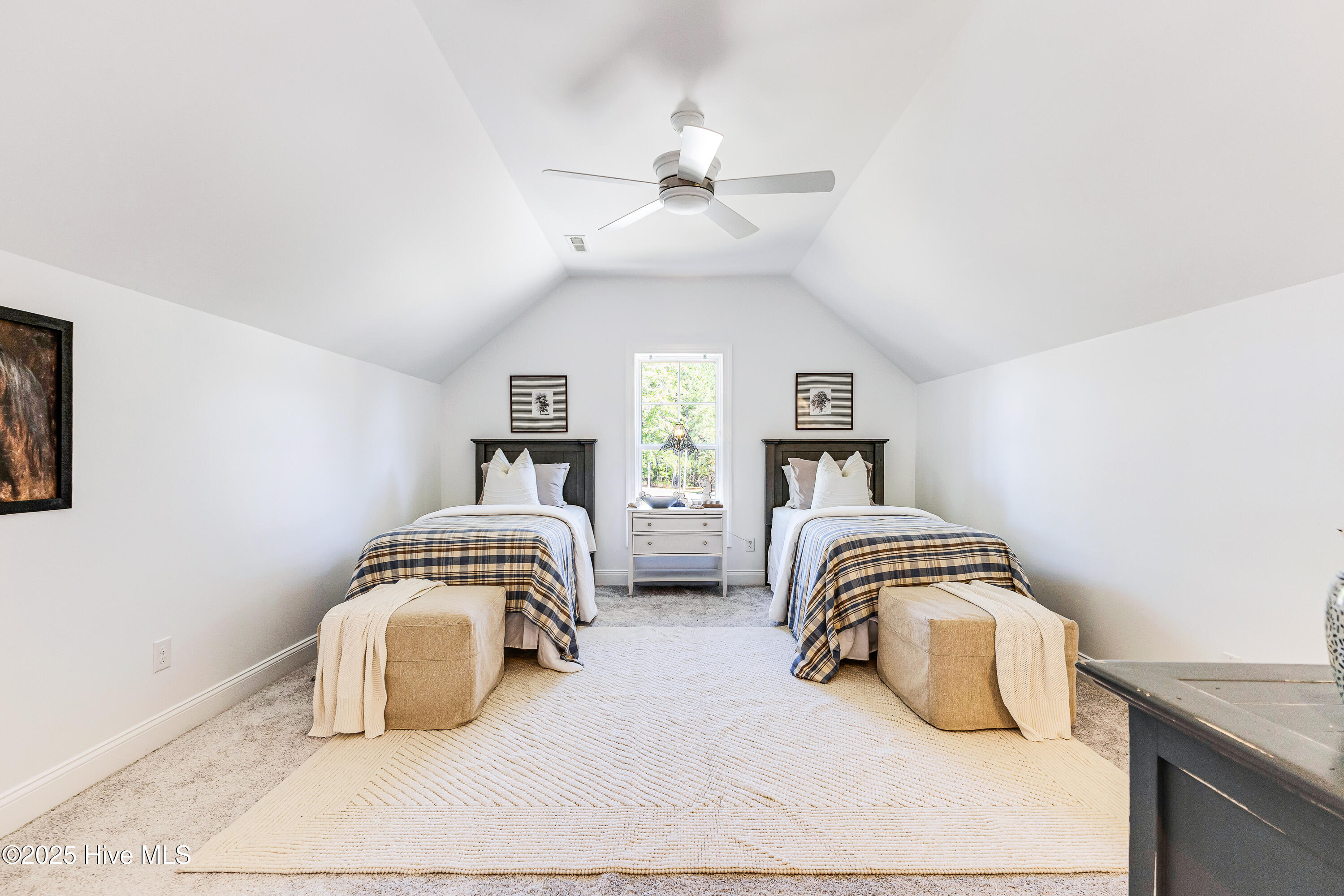 100542174 | Photo 33