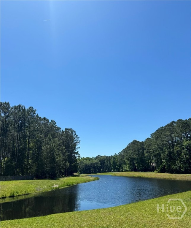 Homes for sale in Richmond Hill, GA | Lot 127 Saint Catherine Cir, Richmond Hill, GA 31324 | MLS# SA344481