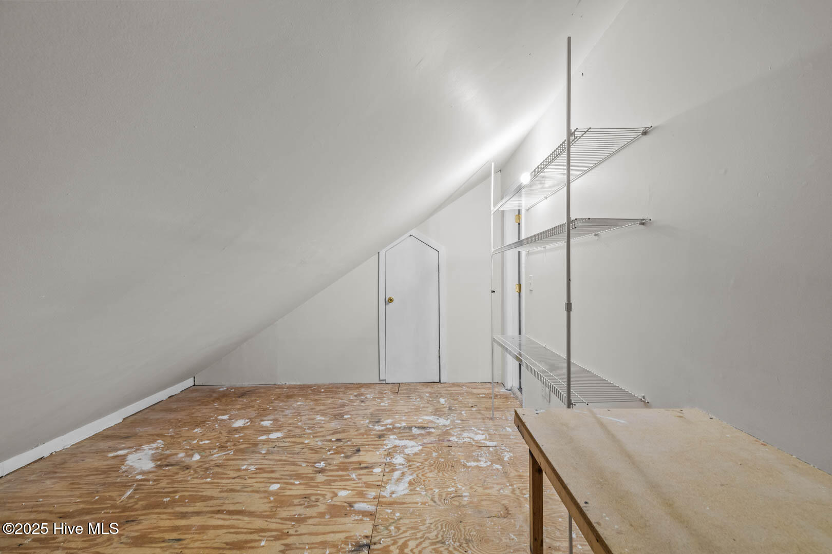 100538607 | Photo 36