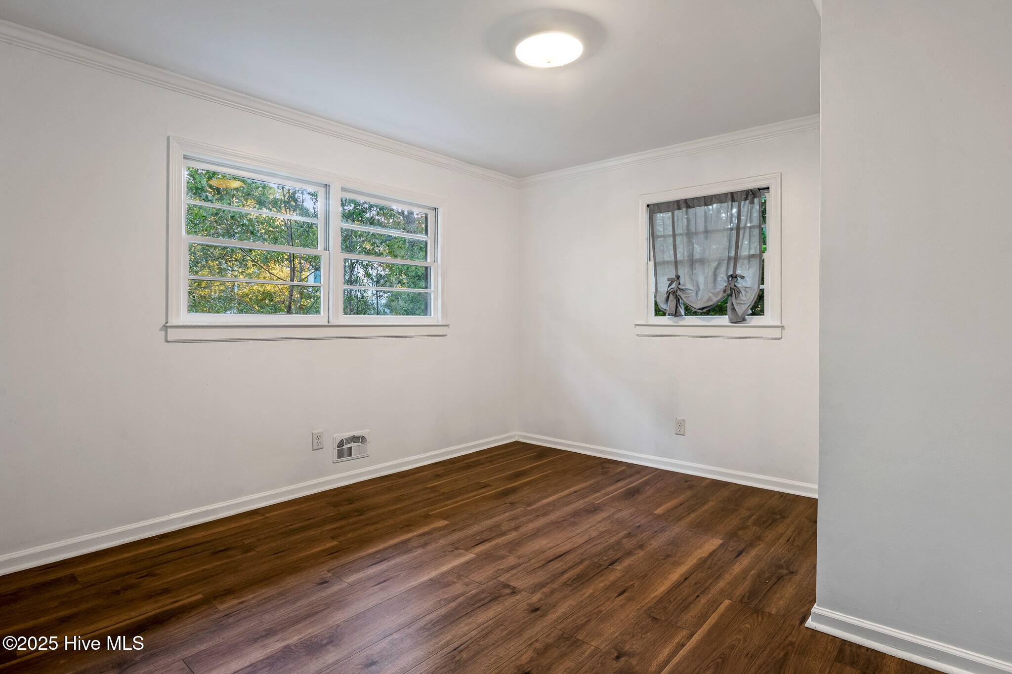 100536534 | Photo 15