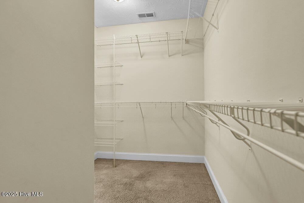 100550856 | Photo 31